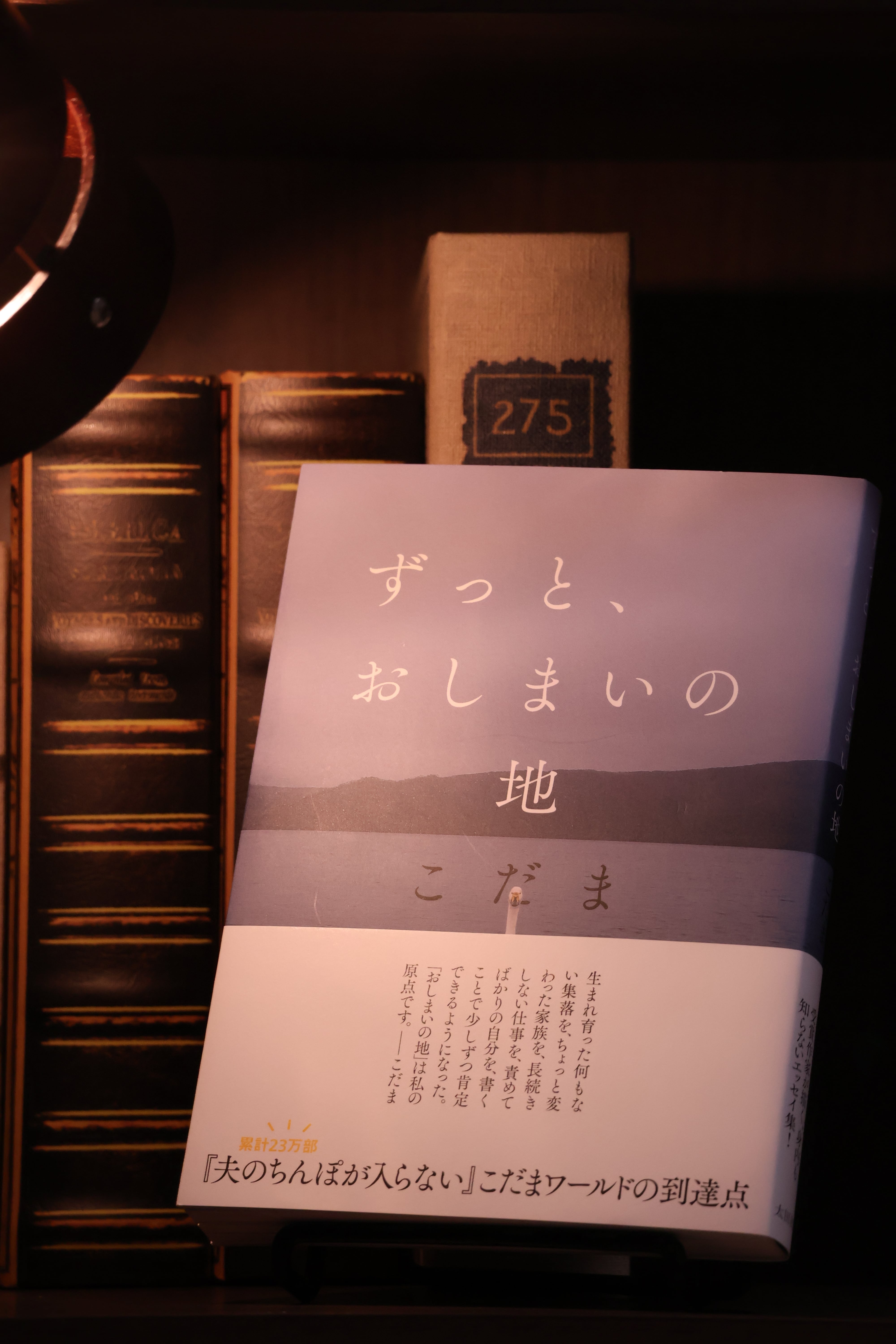 ずっと、おしまいの地（著者サイン本） | 藤森書林