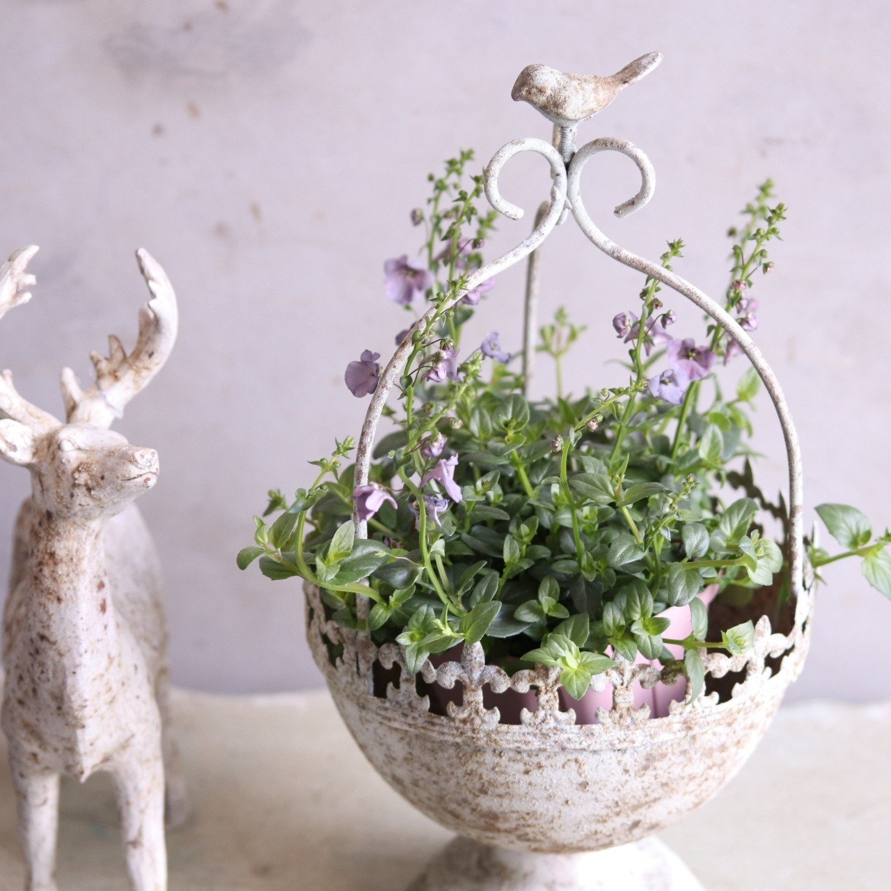 mondimanche 植木鉢　オワゾーカップポットSW  UF665｜シャビーシック　１ぽっとを植えてカワイイ　脚付き　２０cmで飾りやすいサイズ感