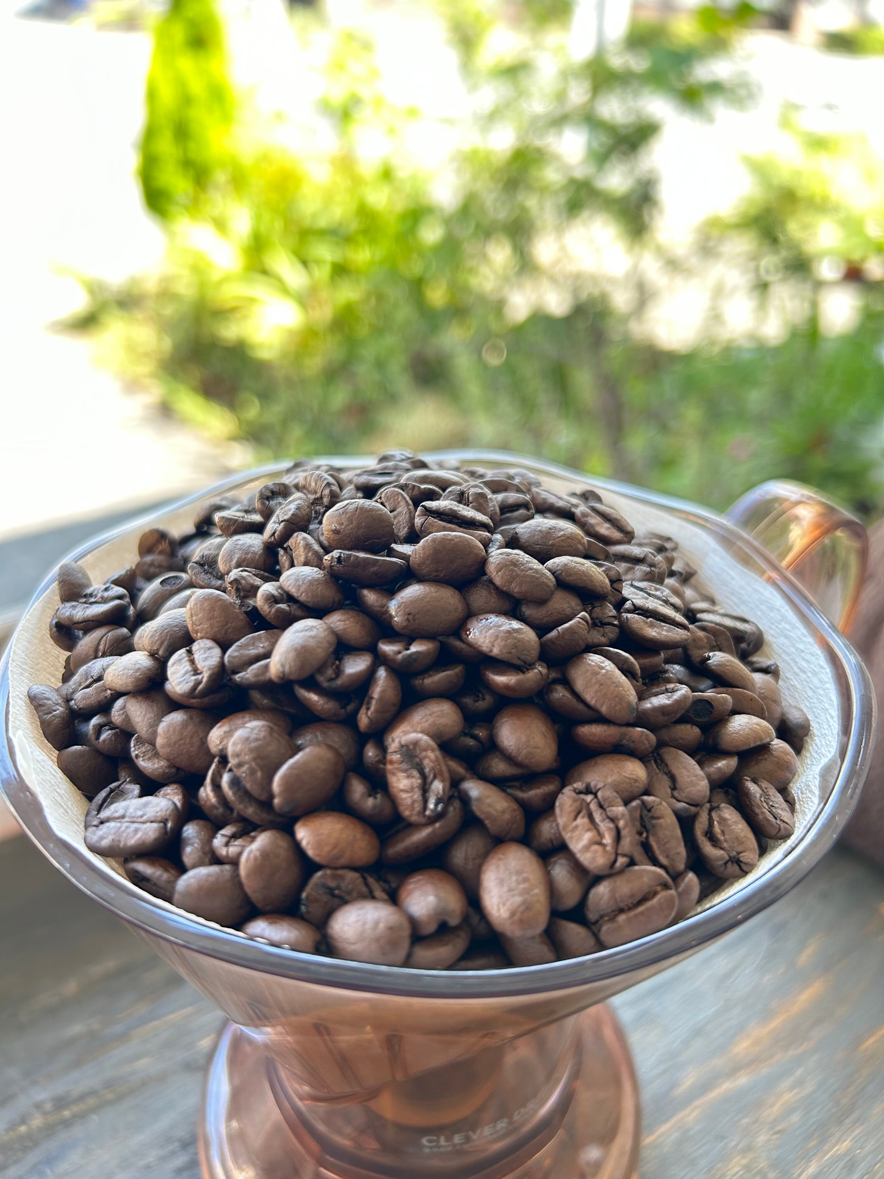 【ブラジル】プレミアムショコラ ［600g］中深煎り 自家焙煎珈琲