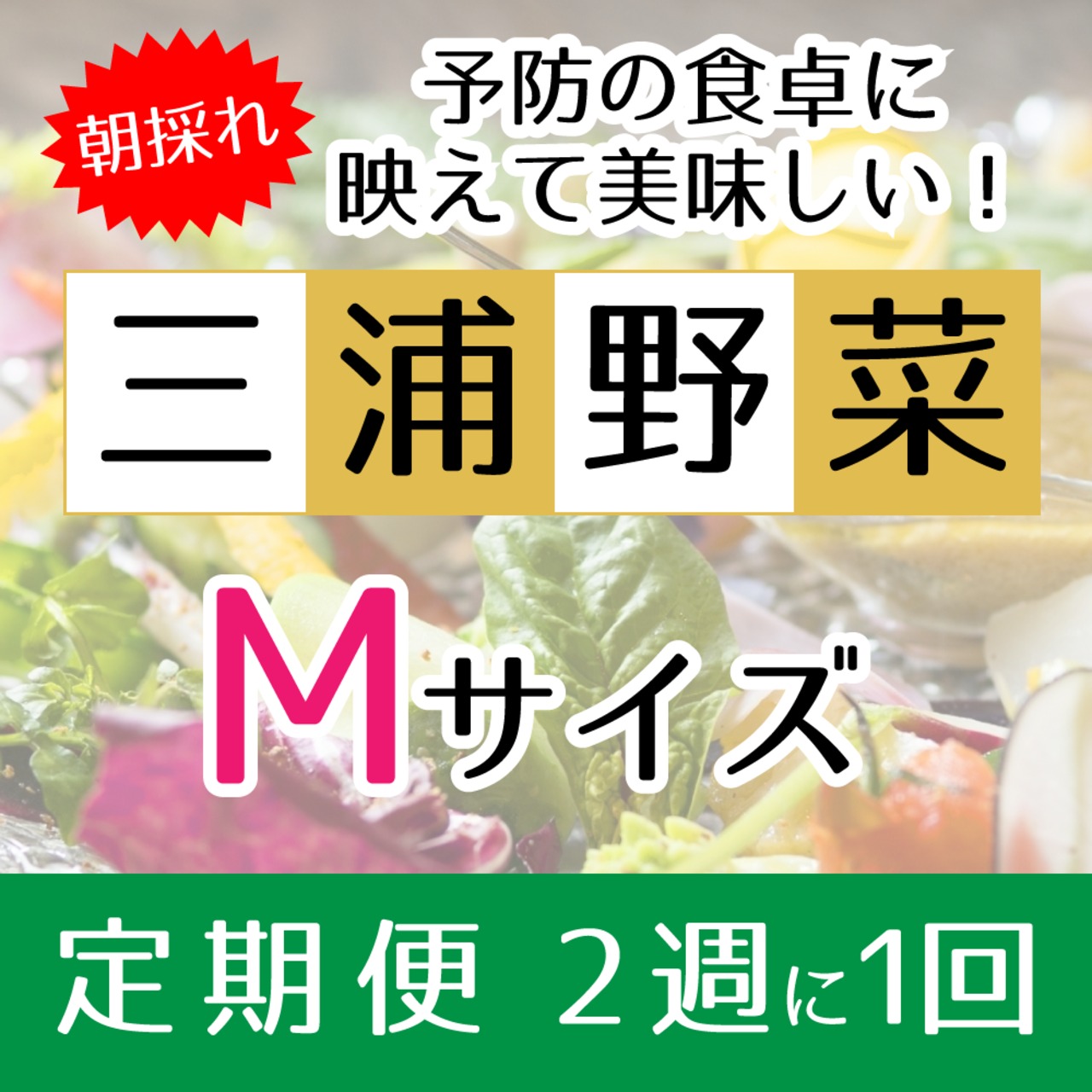 『定期便 2週に1回』【Mサイズ】旬の朝採れ 三浦野菜