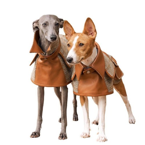 BONDIR Vellure Trench Coat For Reguler Breeds L/XL/2XL