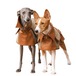BONDIR Vellure Trench Coat For Reguler Breeds L/XL/2XL