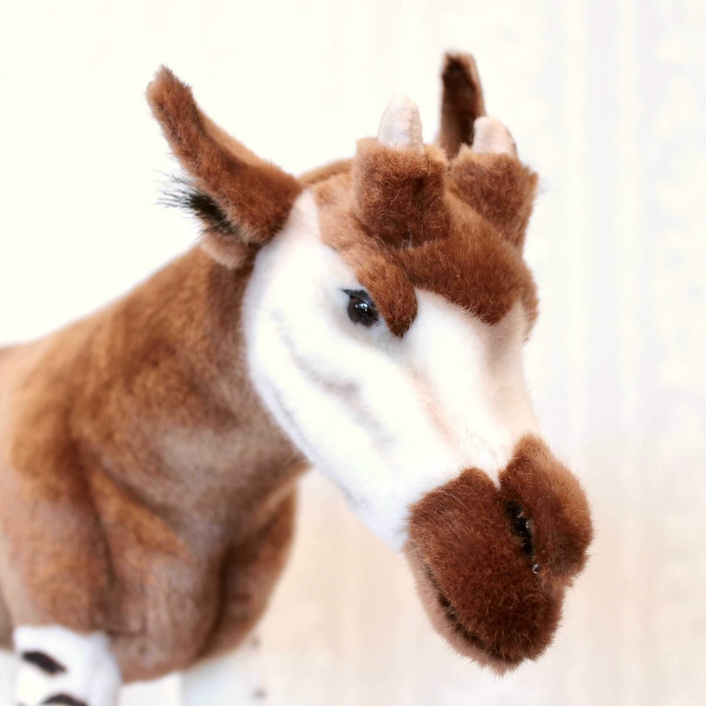 HANSA ハンサ オカピ 41 | ソレイユドール