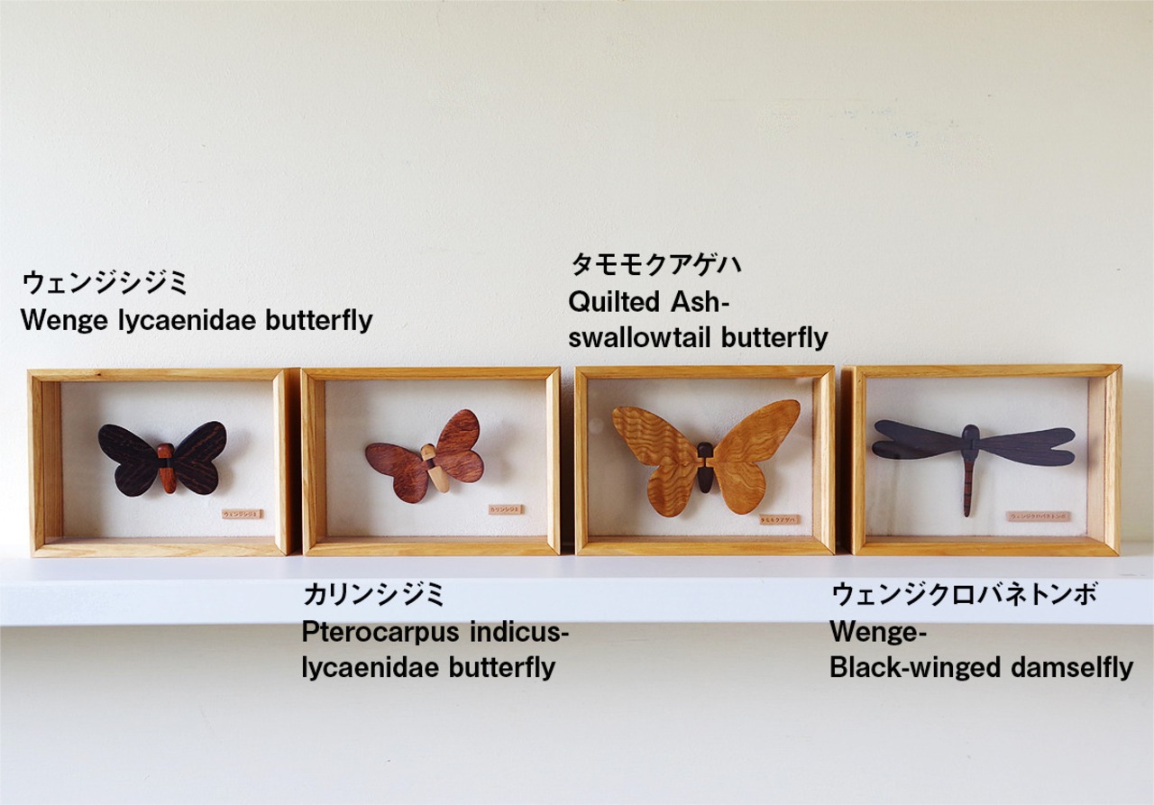 留（とまる）/限定販売　Wooden insect sculpture-Comes in a special box - 3