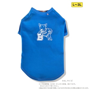 ブルテリア 犬用Tシャツ　ブルーL〜３L