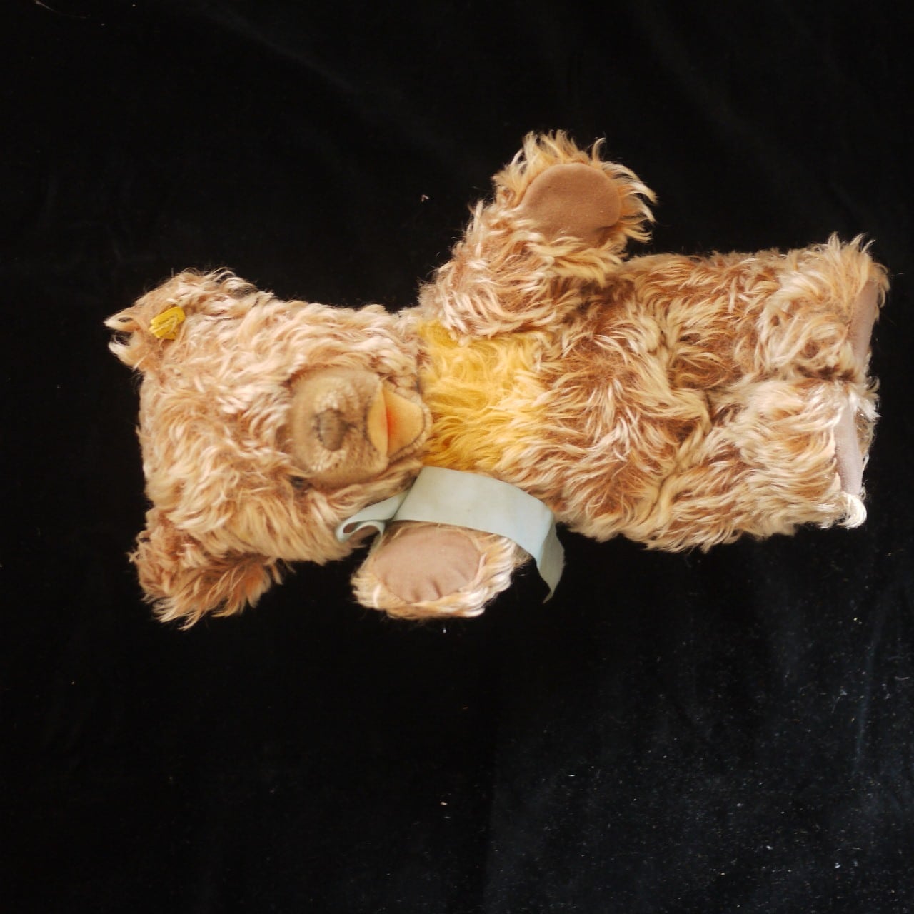 シュタイフ ZOTTY Bär 32cm ドイツ | こりすのパン屋Base店 （世界の