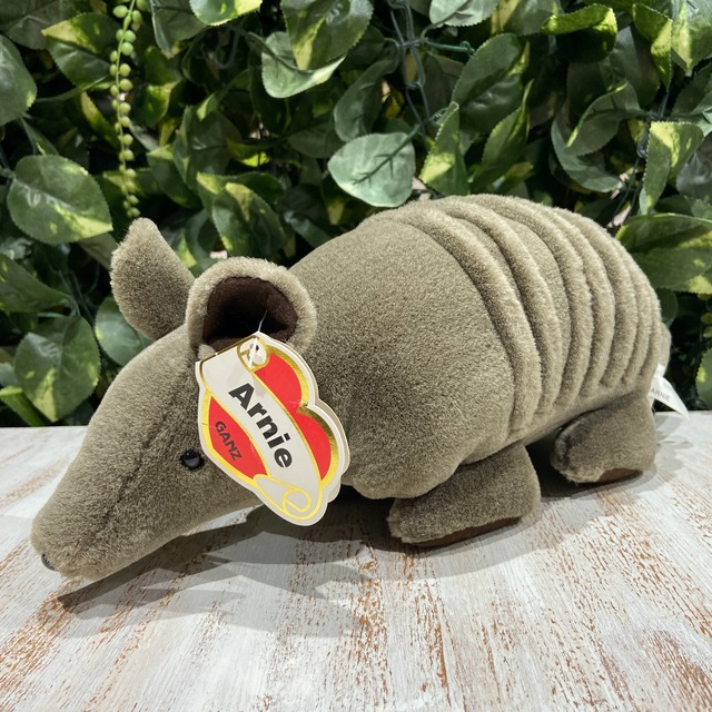 ☆つぶらな瞳のアルマジロくん☆アルマジロ☆タグ付き未使用☆動物 