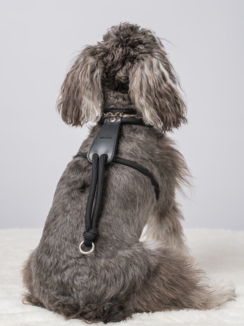 Mサイズ」エッセンシャルハーネス【HOZI】 | HOZI(ホジ)