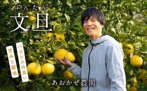 あおかぜ農園 土佐文旦 5kg 家庭用 高知県産 産地直送