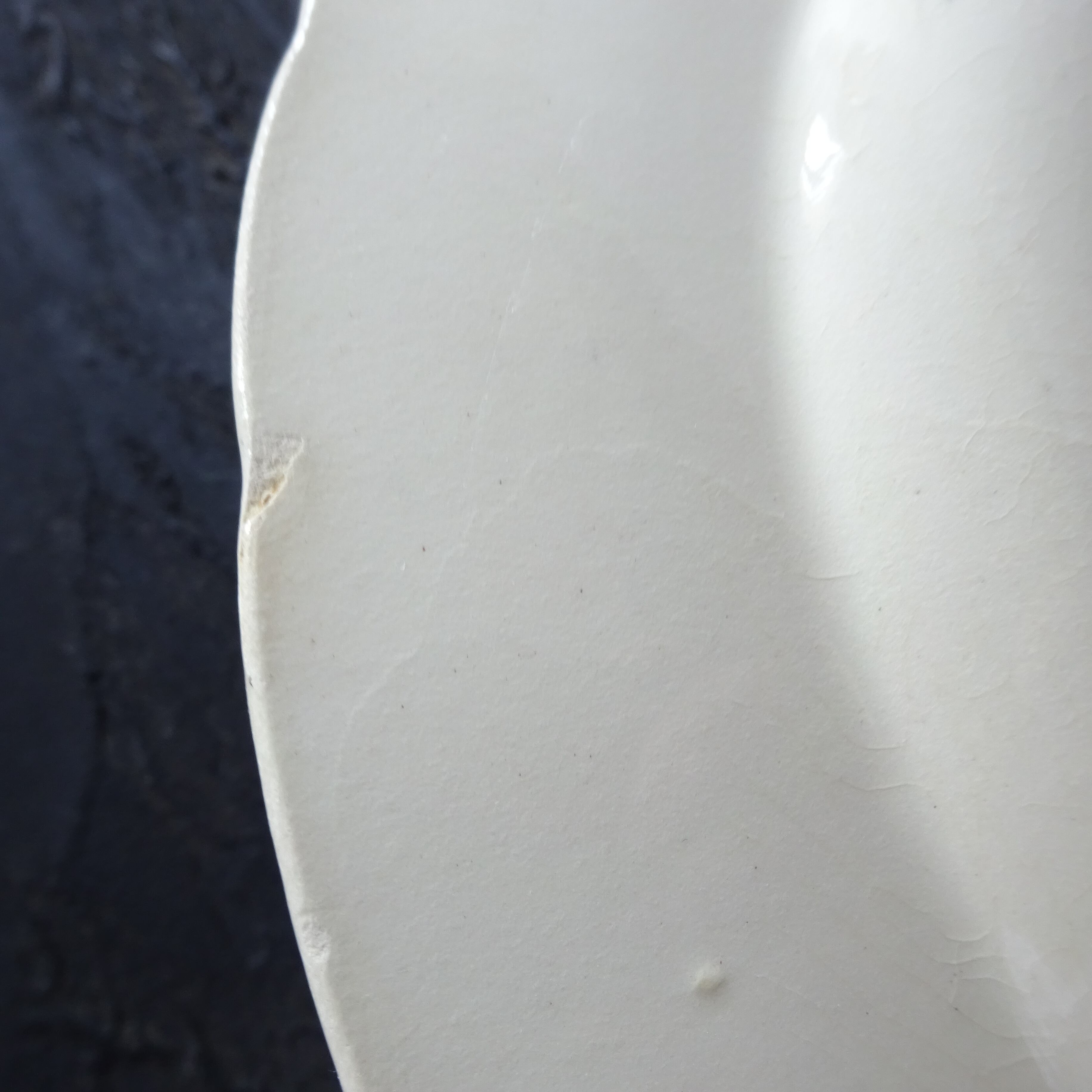 【 Épuisé 】TERRE de FER PORCELAINE OPAQUE DE GIEN modèle 《RINCEAUX》 assiette plate (B)