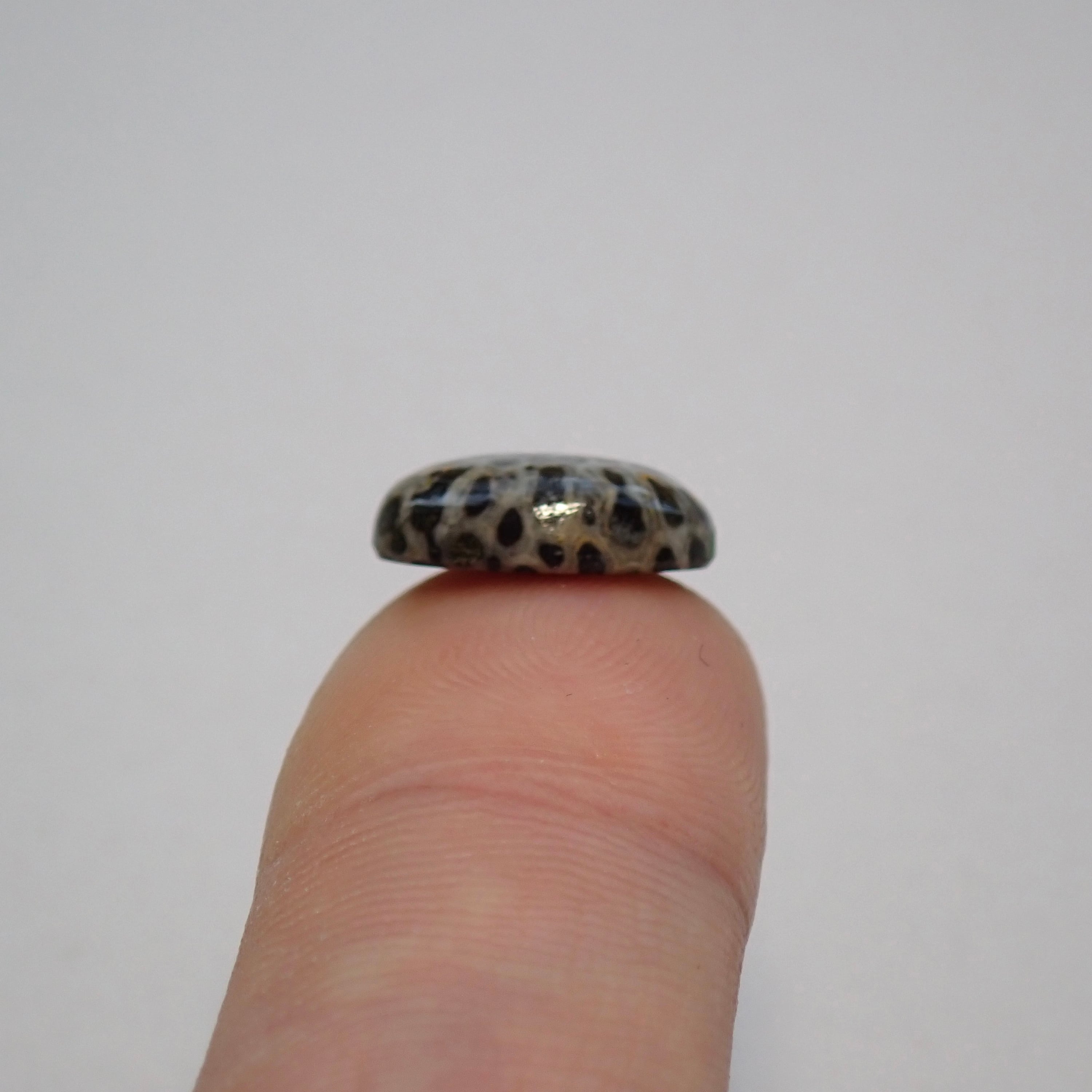 246.世界にひとつだけ！黒珊瑚(ブラックコーラル)のブレスレット 希少品