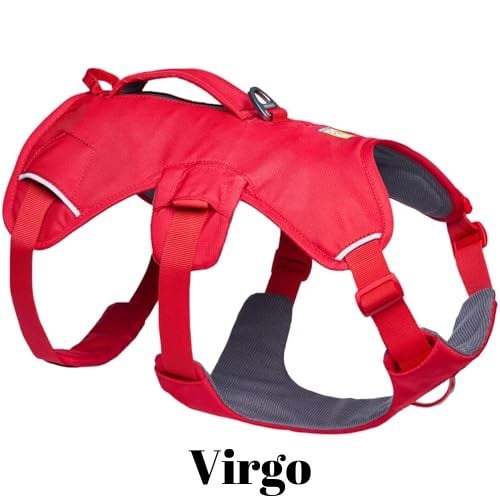 ラフウェア(RUFFWEAR) スワンプクーラー ハーネス Sサイズ Amazon