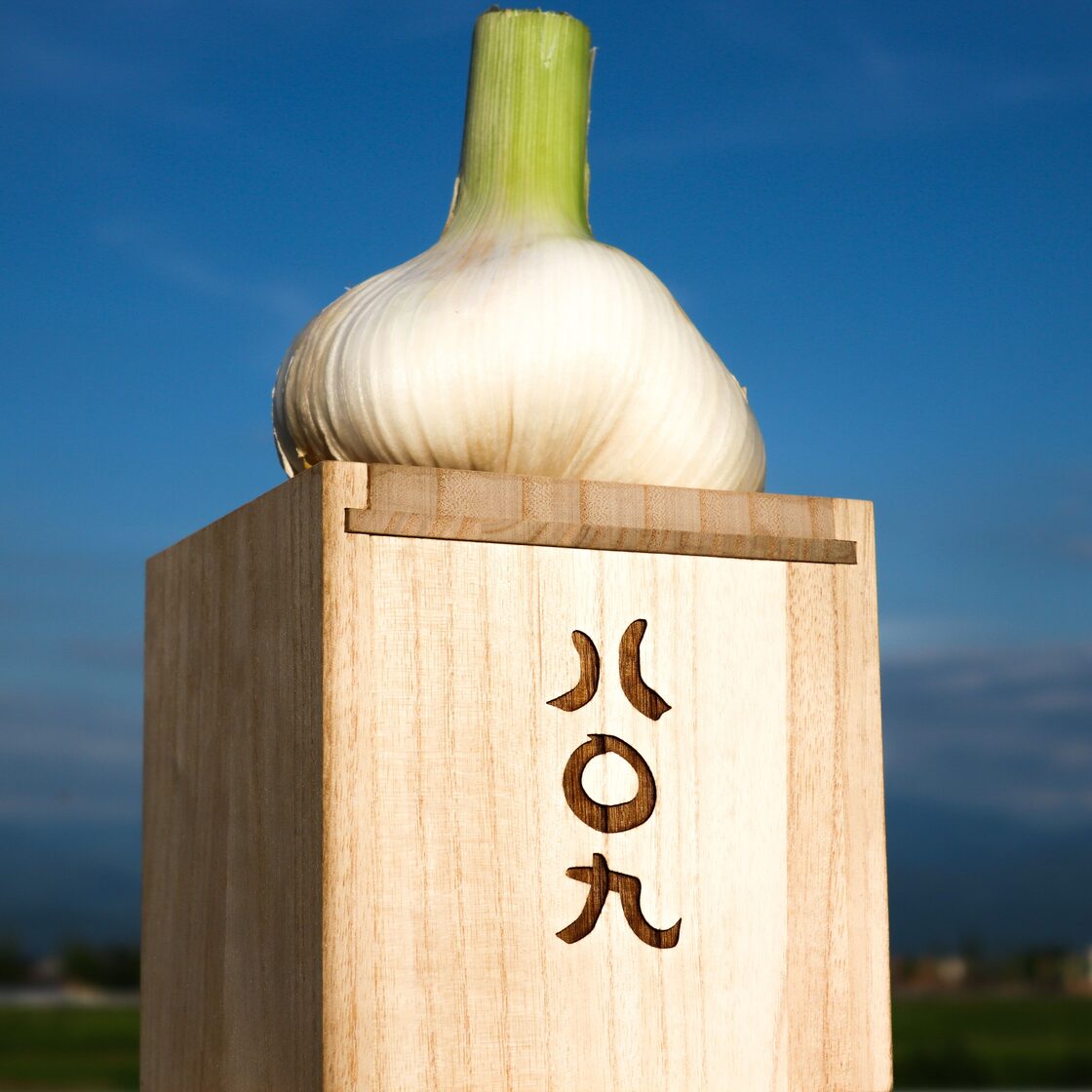 最高級】無臭・生ニンニク(1玉 約600g・木箱入り) | PAY ID