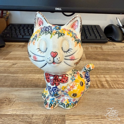 顔でか猫ちゃん