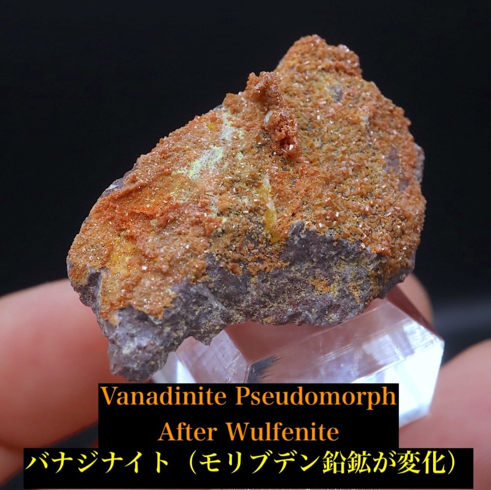 ウルフェナイト(モリブデン鉛鉱) | 鉱物 天然石 American Minerals +
