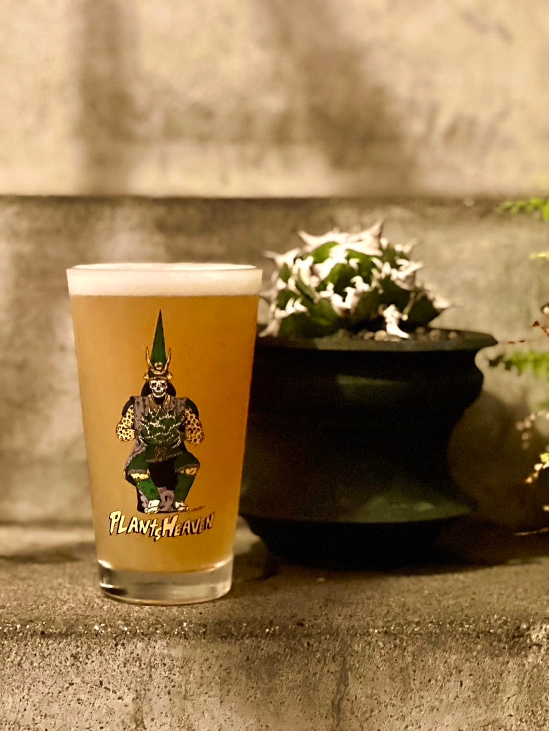 Plants Heaven × Hirotton コラボパイントグラス（480ml） | Pay ID