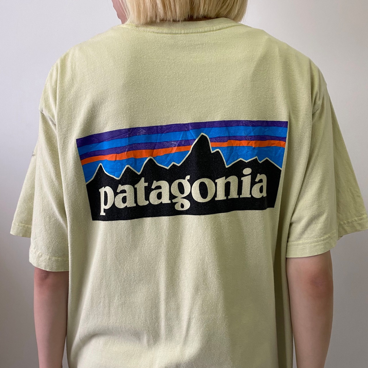 新入荷SALE対象外】patagonia パタゴニア ワンポイント 胸ロゴ バック 