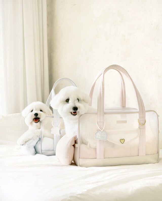 seoru】Mesh Ballon Bag（silver&blue） | ropet