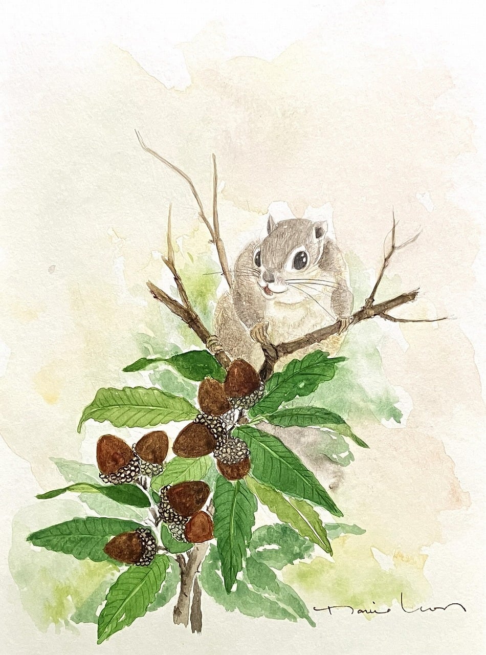木登り上手！