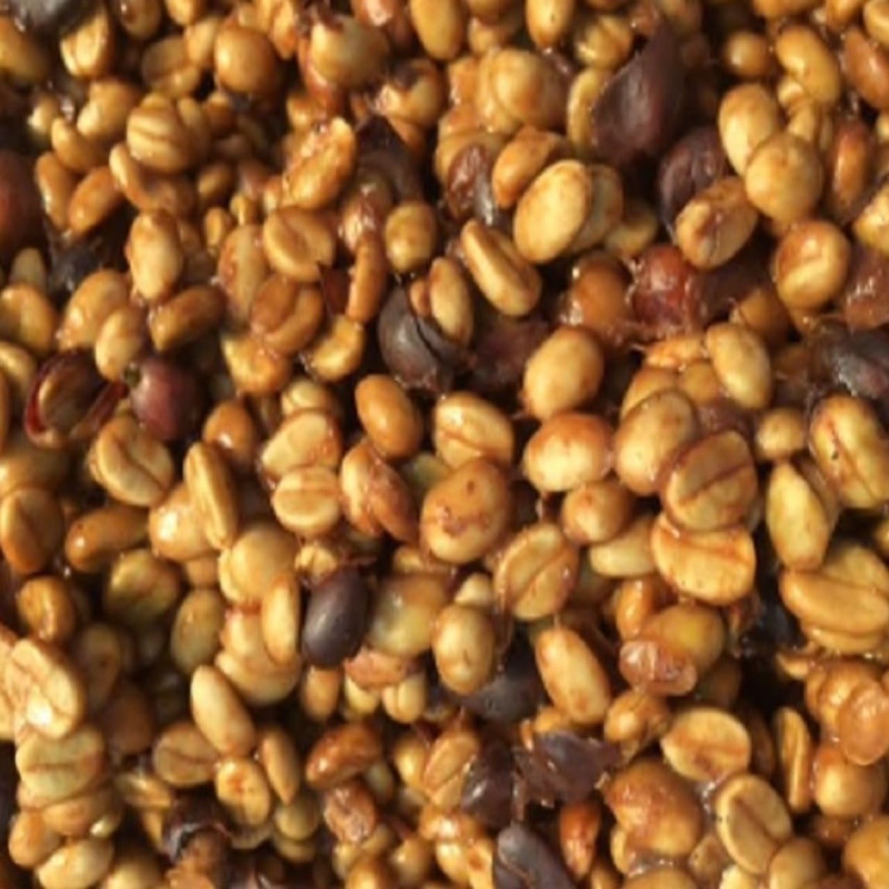 コーヒー豆 【焙煎】 コスタリカ ジャガー ハニー 200g | oneplus