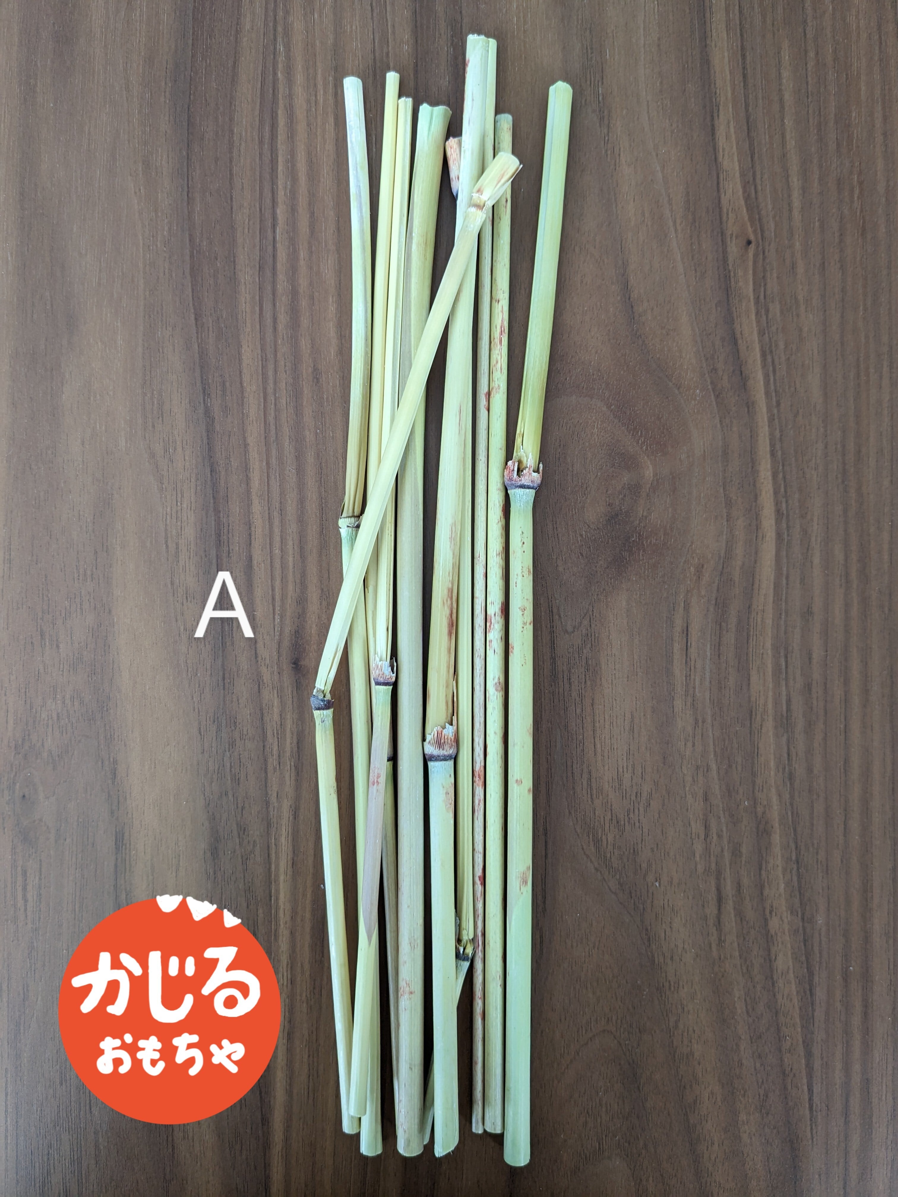 えらべる太さ たかきびの茎 ドライ | 廣田農園 BASEストア 鳥部