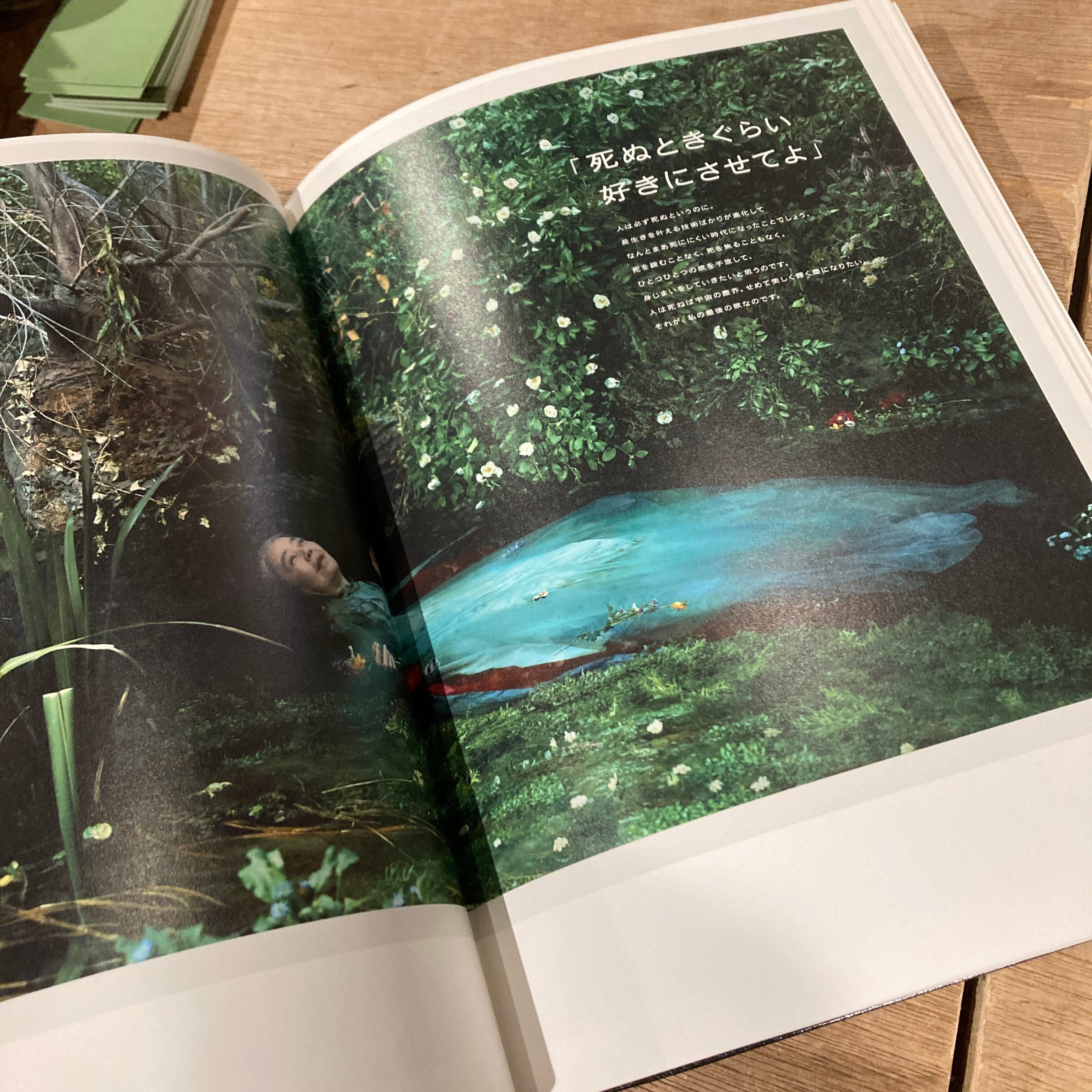 GRAPHIC DESIGN IN JAPAN 2017 / 編集・制作: JAGDA年鑑委員会 | 百年