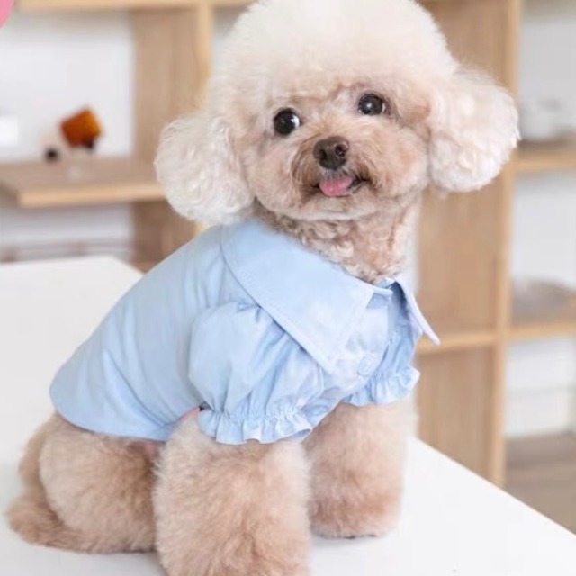 chambray puff sleeve shirt