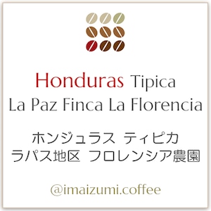 【送料込】ホンジュラス ティピカ ラパス地区 フロレンシア農園 - Honduras Tipica La Paz Finca La Florencia - 300g(100g×3)