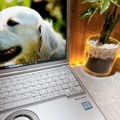 在庫1点限り/Let's note SV8/メモリ8GB/SSD256GB/超軽量/第8世代/初期設定済み/ノートパソコン