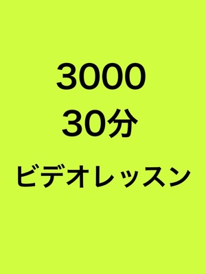 ビデオレッスン〜30分〜