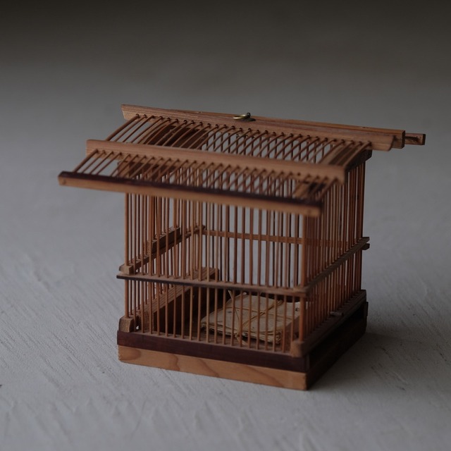 Insect cage