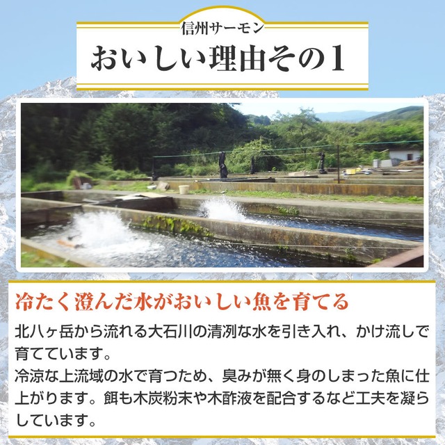 長野県ブランド魚 信州サーモン まるごと1尾 2～2.5㎏ おいしい 新鮮 魚 養殖 柵 生 冷蔵 刺身 丼 カルパッチョ マリネに