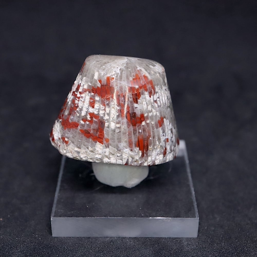 フォッシル コーラル 化石珊瑚 18.9g OTH015 鉱物 原石 天然石