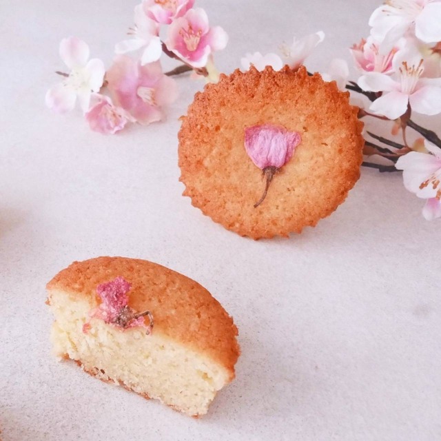 ​焼きチーズケーキ ふく福 〜桜〜