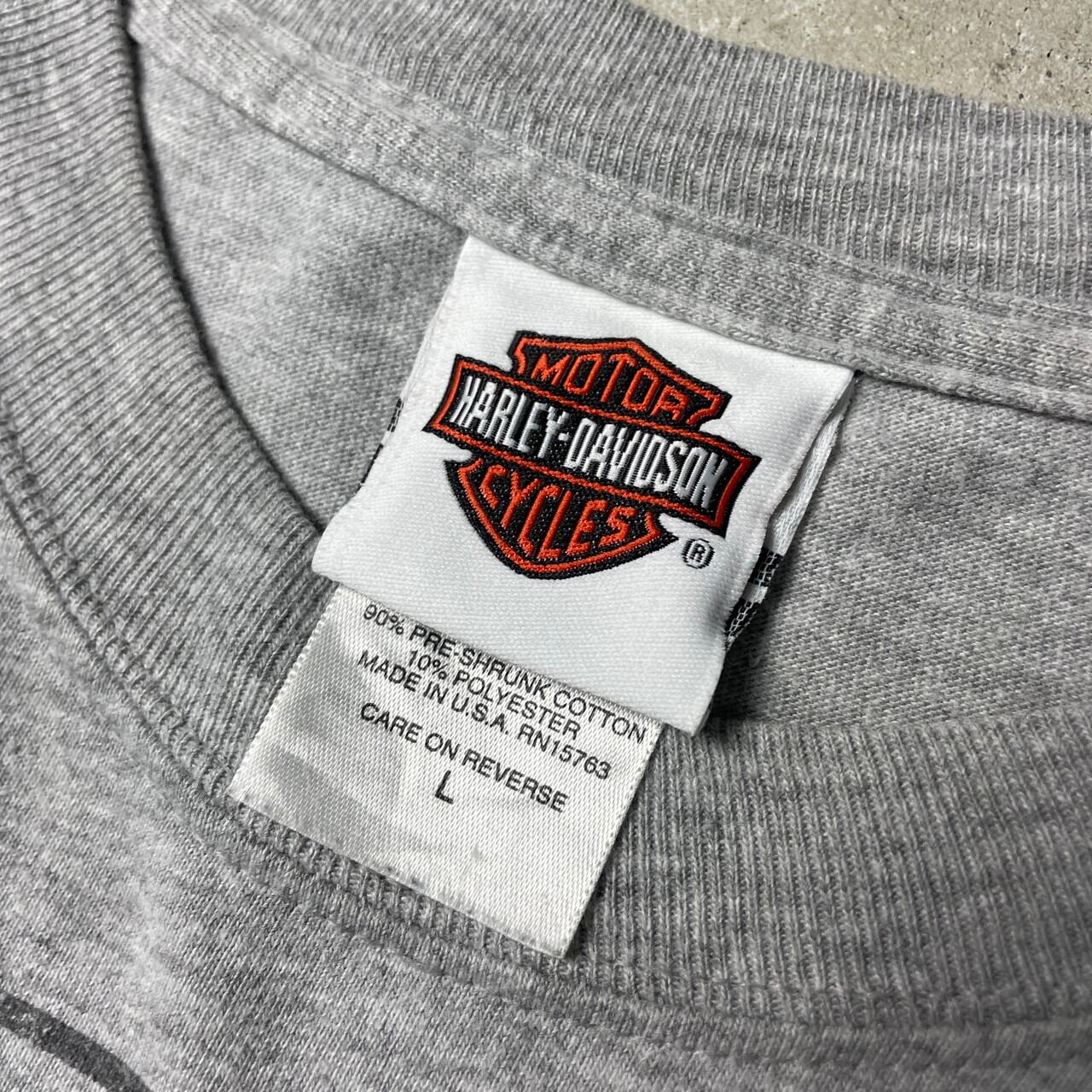 USA製 Harley-Davidson Looney Tunes ルーニー・テューンズ タスマニアンデビル ハーレーダビッドソン 両面プリント  ロングTシャツ メンズL 古着 ルーニー・テューンズ タスマニアンデビル ハーレーダビッドソン 袖プリント バイク モーターサイクルTシャツ  キャラクター ...