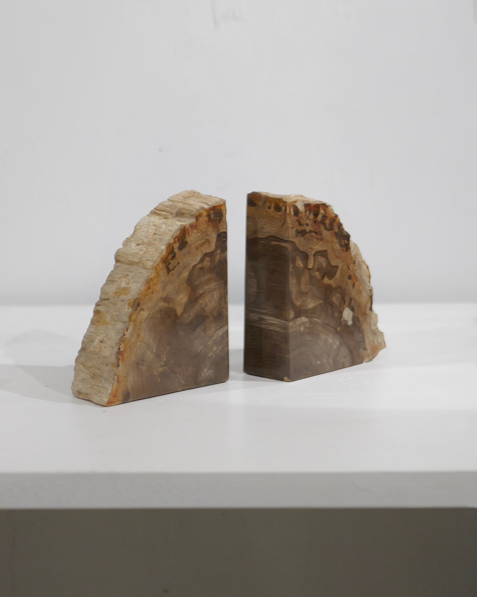 OAK Petrified Wood - Book End #001 ：Natural｜珪化木／一点もの