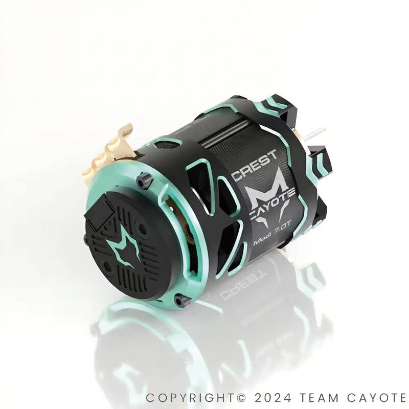 Team CAYOTE | ZEROTRIBE WEBSHOP