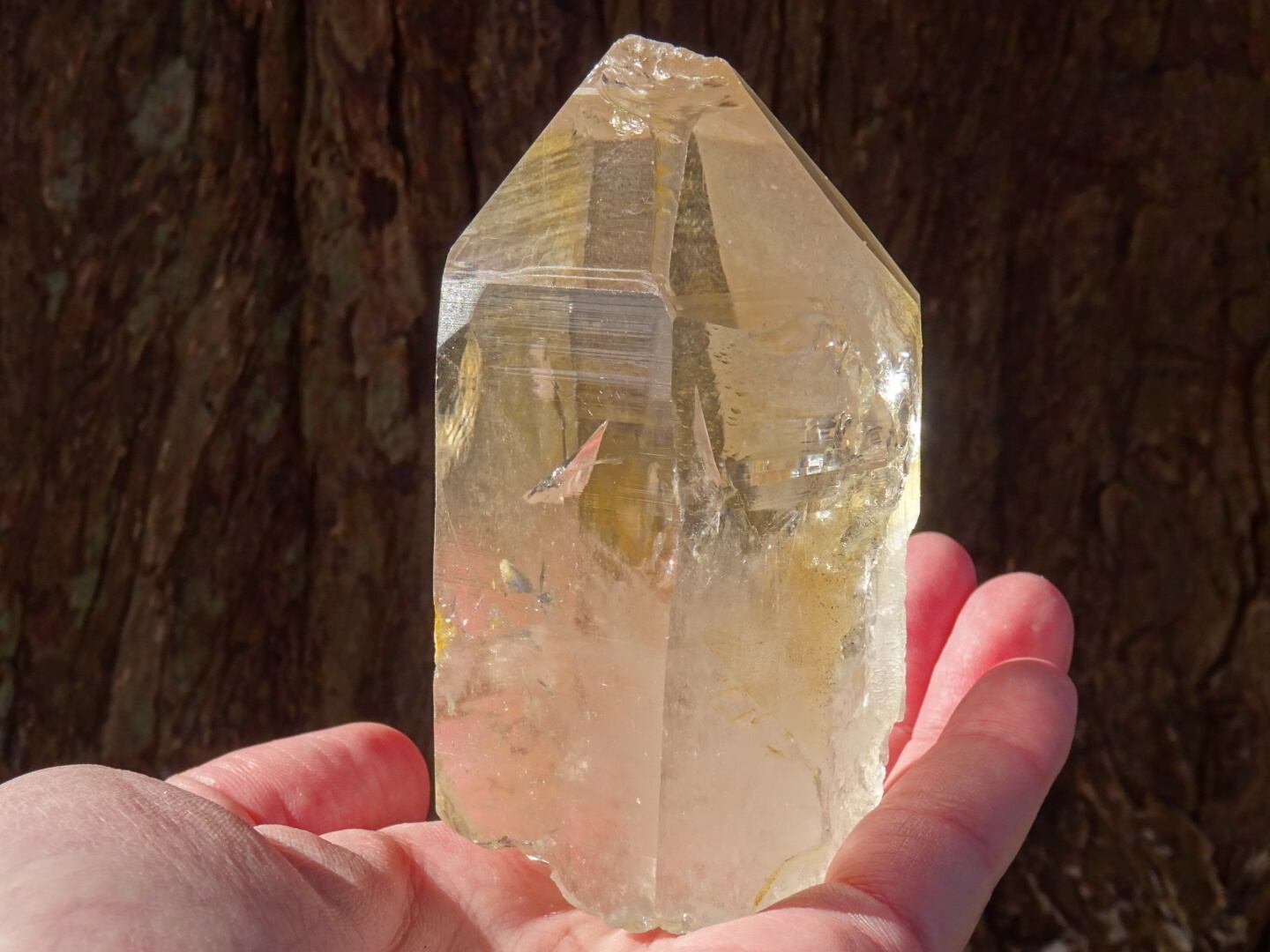 新品未使用❣️ロシアンレムリアン 原石　希少　全てのトップにレコードキーパー有 新品未使用❣️ロシアンレムリアン 原石 希少 全てのトップにレコード