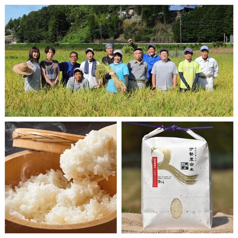 2022人気の ☆農家直売・特別栽培米ミルキークイーン白米２４ｋｇ
