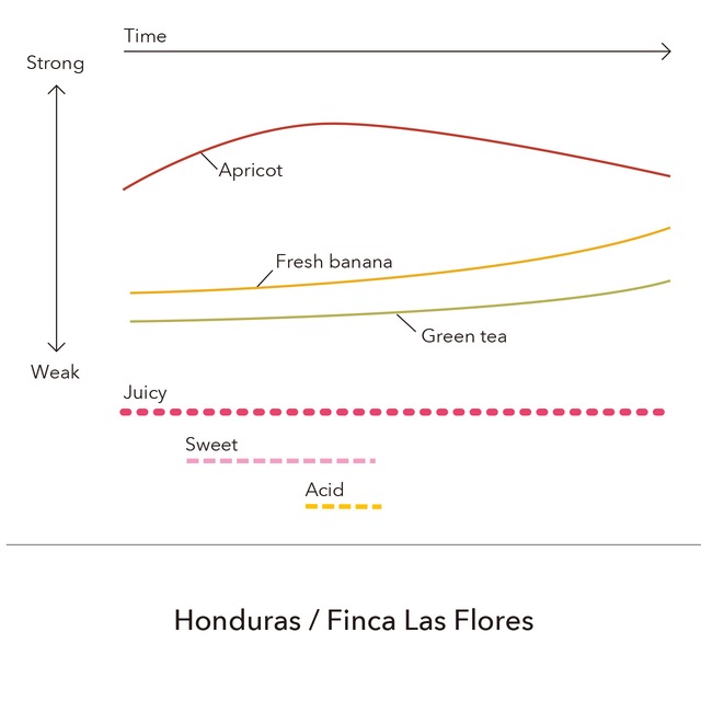 Honduras - Finca Las Flores / 200g