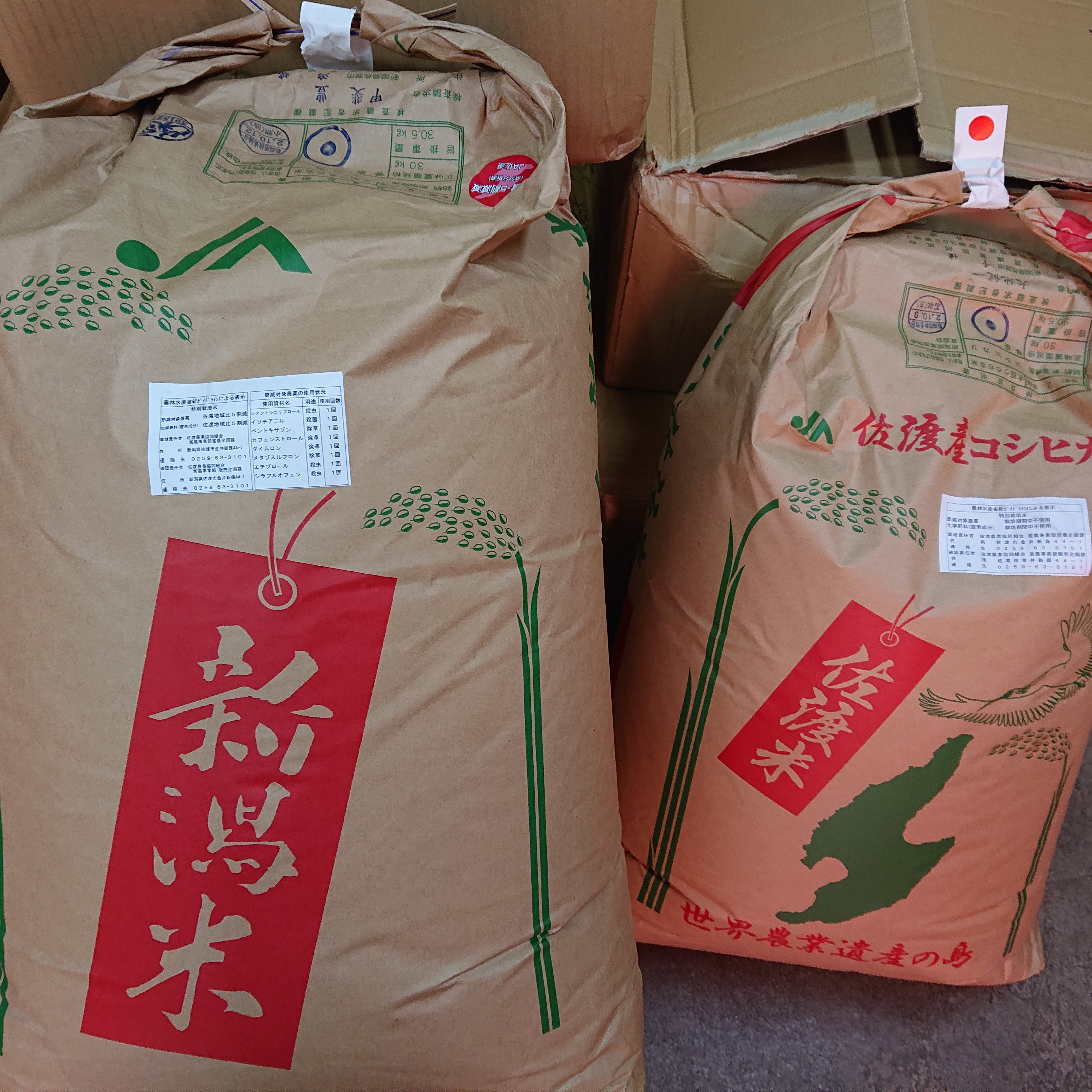 令和4年産　新潟県佐渡市　自然栽培米コシヒカリ　中村販売所