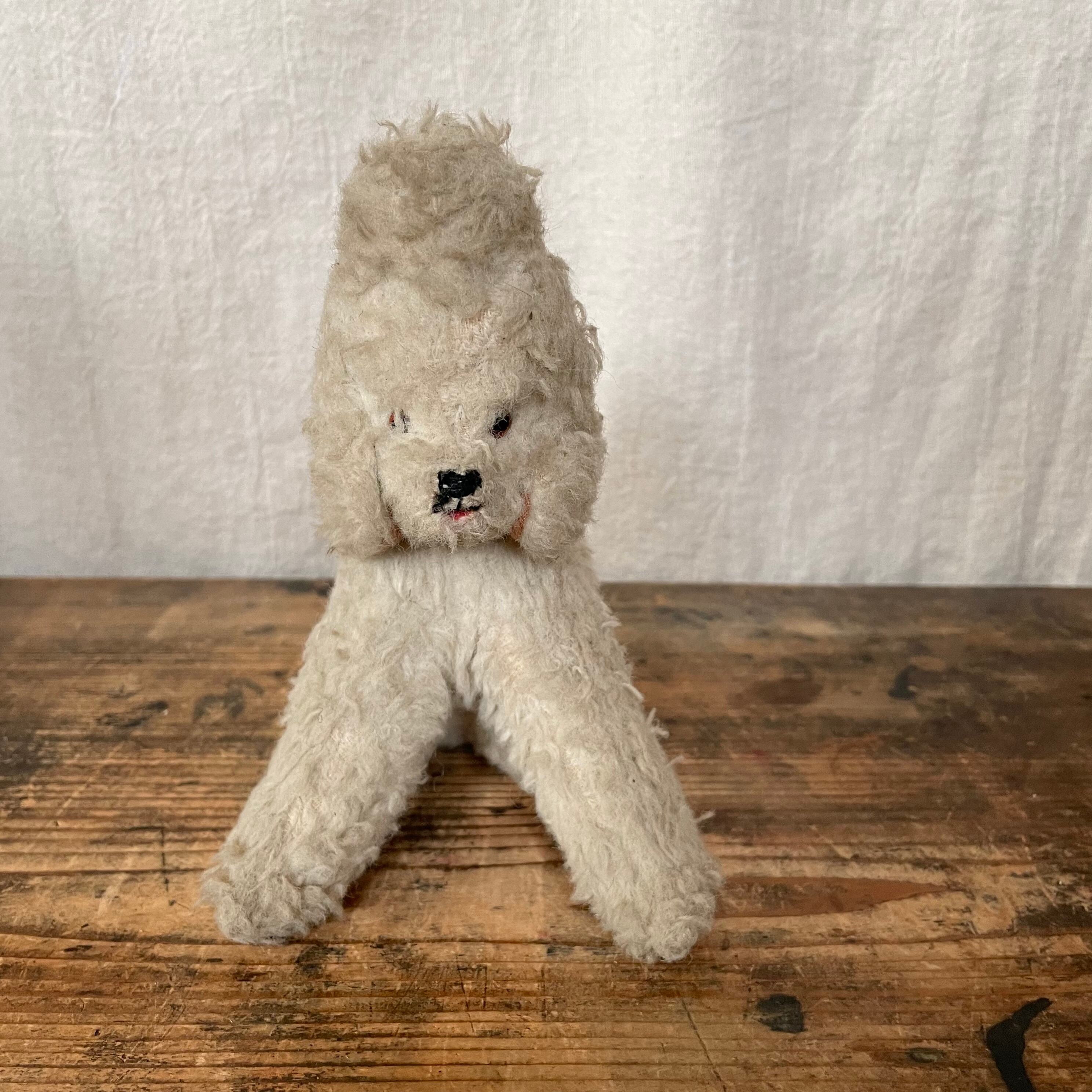 愛されすぎたプードル