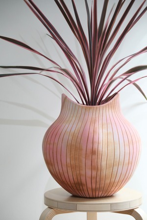 【L】【渋谷区周辺エリア/配送料無料】【88cm】コルジリネ オーストラリスピンク/Cordyline australis 'Pink Stripe'