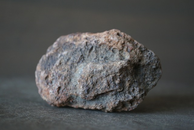 コプロライト Dinosaur Coprolite 1182