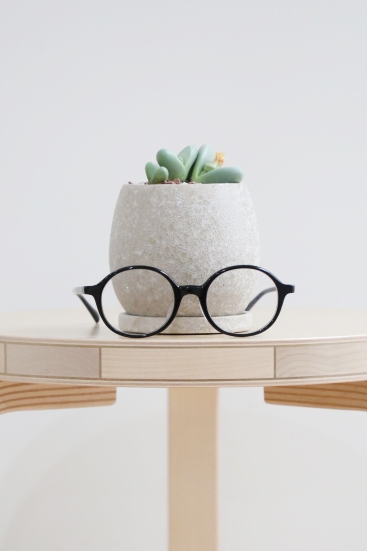 【S】メセン パテンシス/iceplants