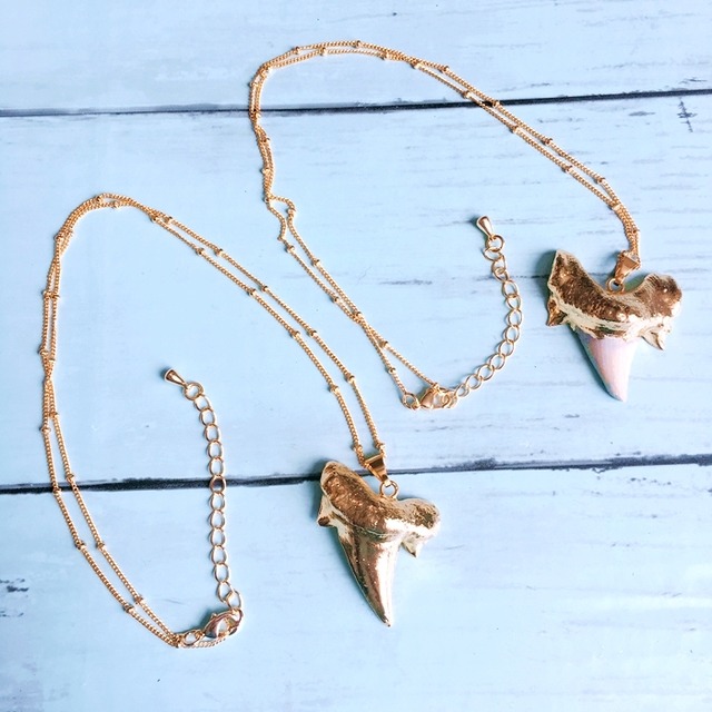 shark tooth ネックレス☆シャークトゥース☆サメの歯 幸運 魔除け  