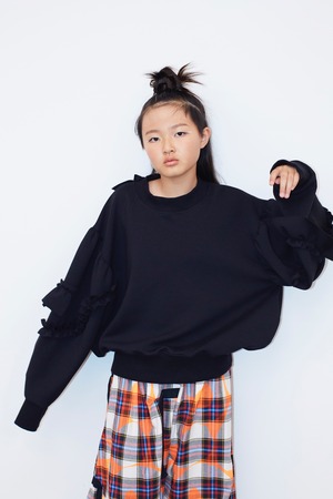 VORIOUS FRILL SLV DOUBLE AIR PULLOVER / F2