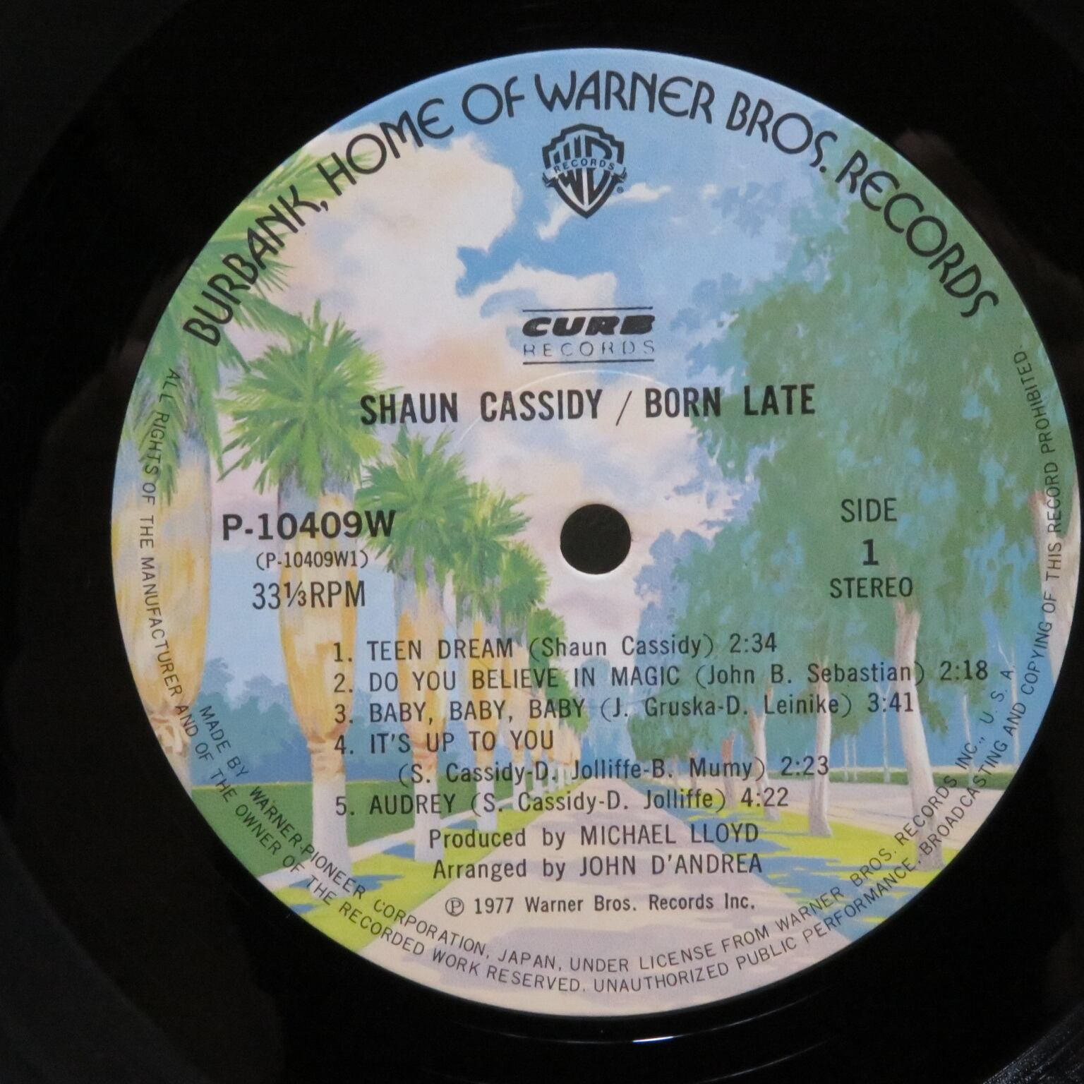 Shaun Cassidy / Born Late [P-10409W] - 画像4