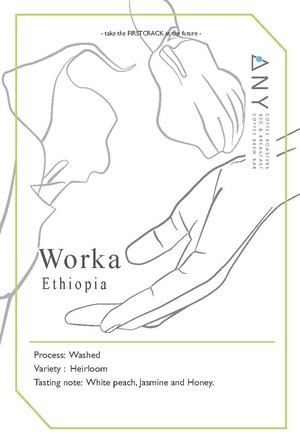 【100g】Worka, Ethiopia - Washed / ウォルカ、エチオピア