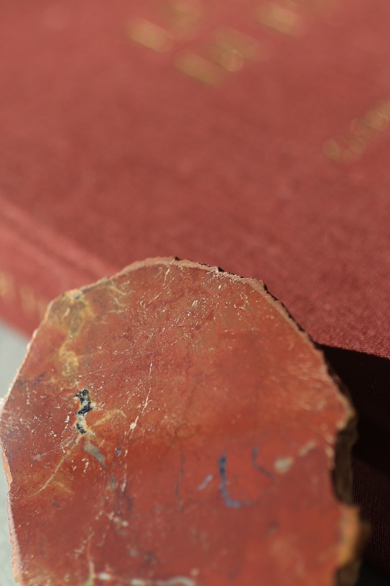 ペトリファイドウッド プレート | Petrified Wood Plate ◇ 天然石・鉱物・パワーストーン | st00411